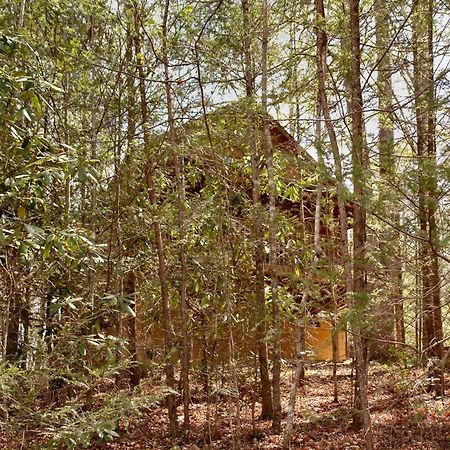 Вілла Mountain Hideaway #338 Гатлінбург Екстер'єр фото
